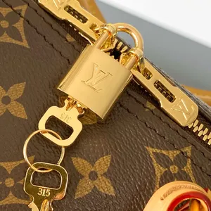 Louis Vuitton SPEEDY SOFT 30 CRAFTY Bag ITEM019