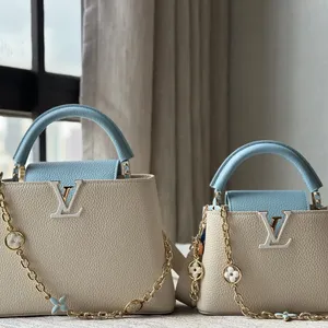 Louis Vuitton CAPUCINES BB Bag M25310