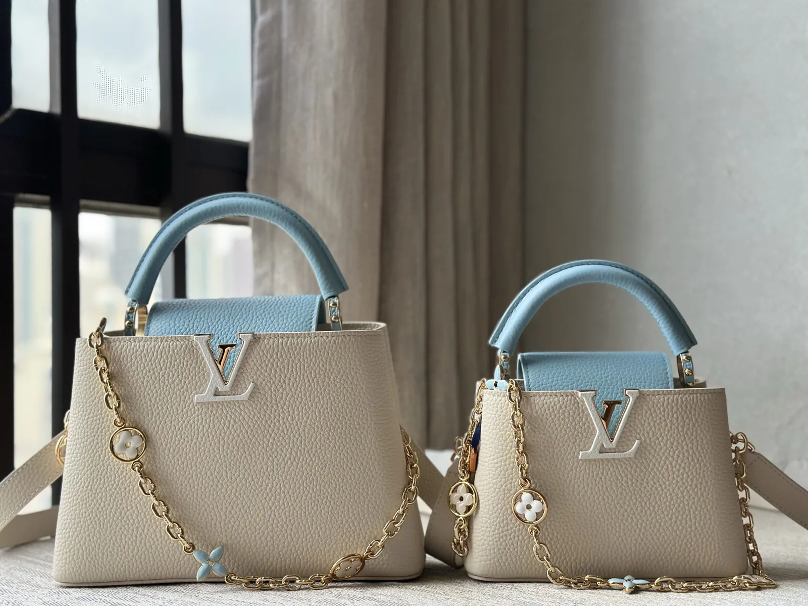 Louis Vuitton CAPUCINES BB Bag M25310
