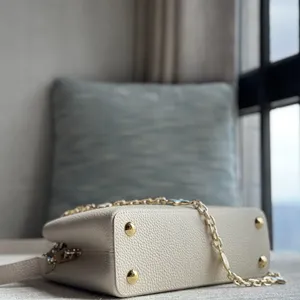 Louis Vuitton CAPUCINES BB Bag M25310