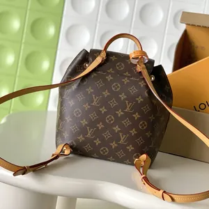 Louis Vuitton Montsouris Bag M45501